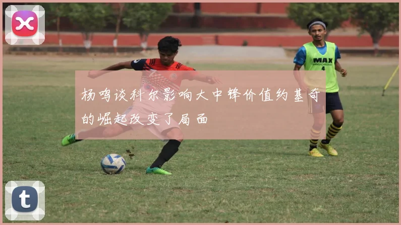 杨鸣谈科尔影响大中锋价值约基奇的崛起改变了局面